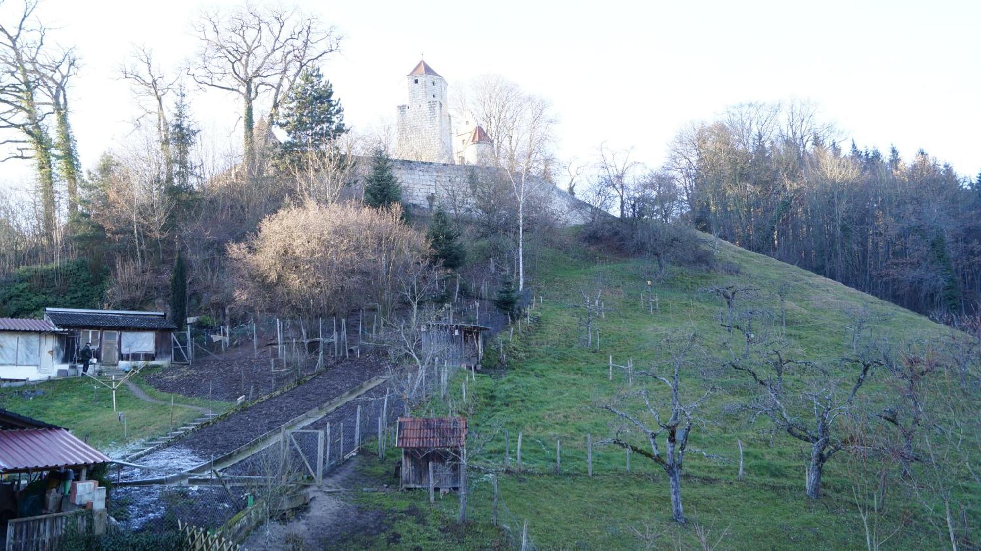 Landgasthof Falken Huttlingen Chambre photo